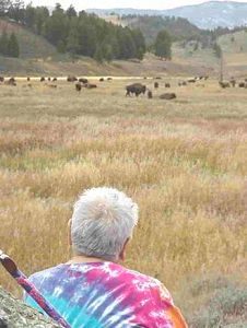 Dr. Henrietta Mann faces the buffalo herd and offers her prayers and songs