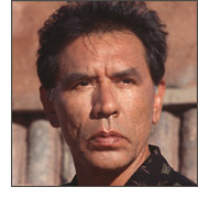 Wes Studi, native american actor