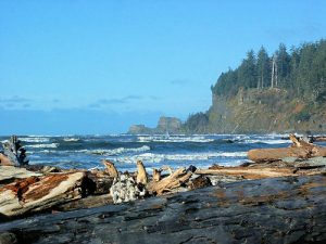 Cape Elizabeth on the Quinault Indian Reservation where the Qinault River meets the sea