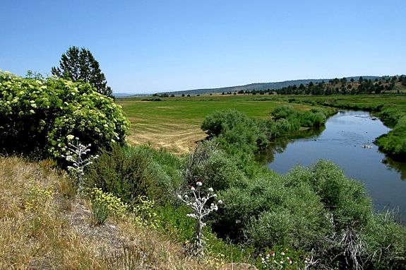 Upper Pit River and countryside, near Alturas, in Modoc County, Northeastern California.