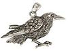 Crow jewelry symbol