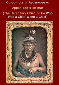Chief Appanoose, Meswaki chief